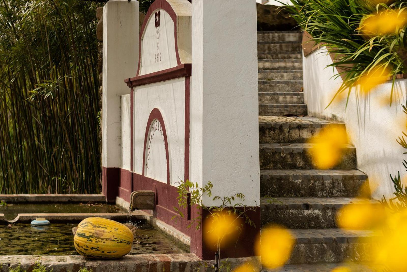 Quinta Da Asneira Διαμέρισμα Montemor-o-Novo Εξωτερικό φωτογραφία