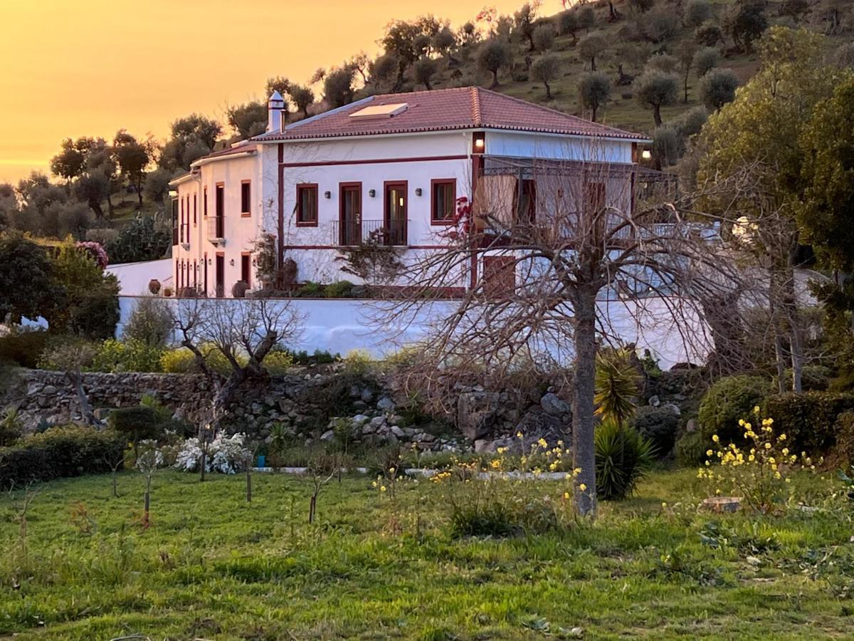 Quinta Da Asneira Διαμέρισμα Montemor-o-Novo Εξωτερικό φωτογραφία