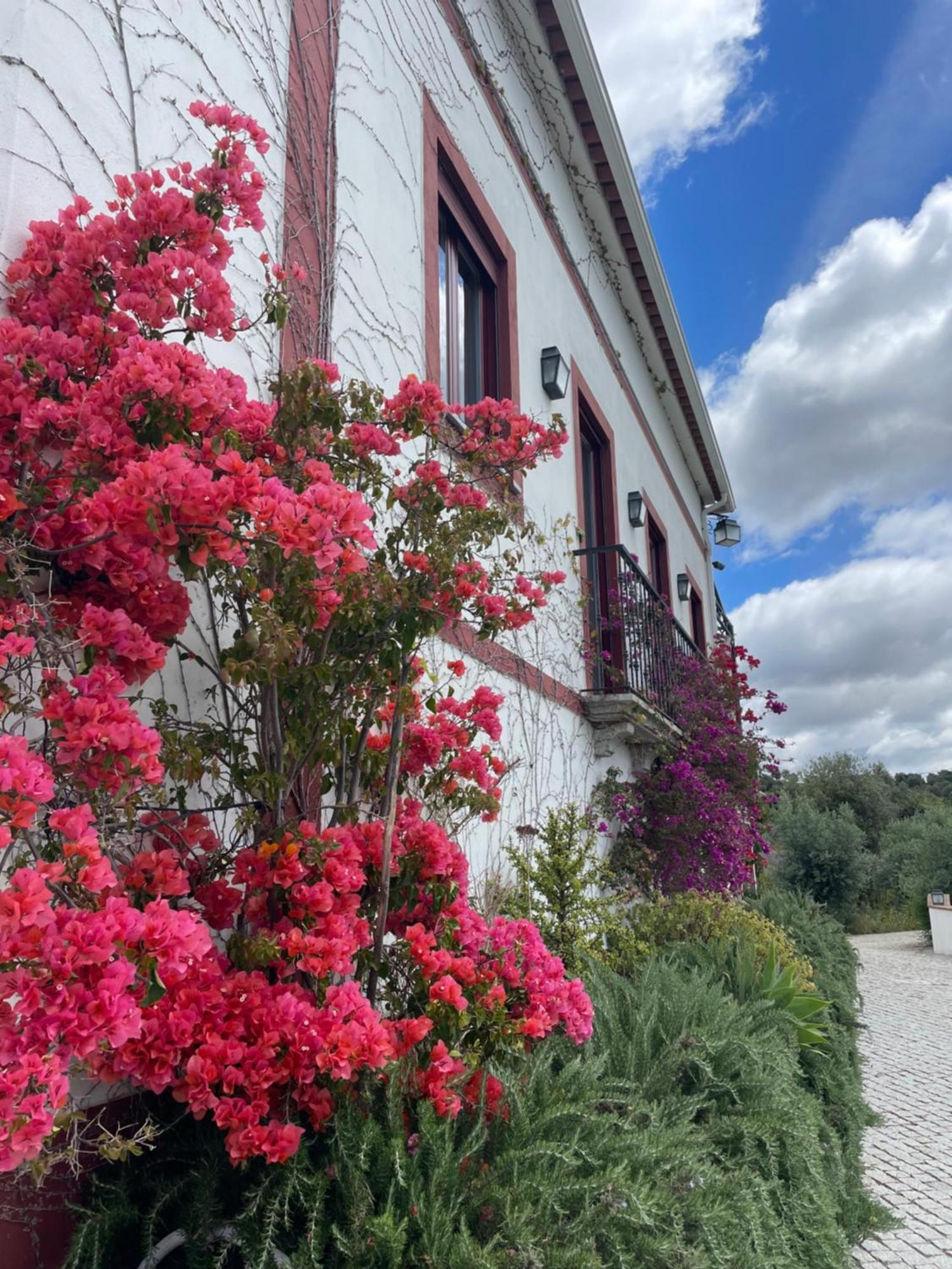 Quinta Da Asneira Διαμέρισμα Montemor-o-Novo Εξωτερικό φωτογραφία