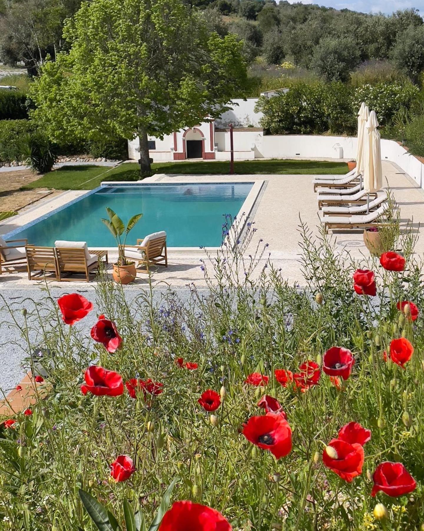 Quinta Da Asneira Διαμέρισμα Montemor-o-Novo Εξωτερικό φωτογραφία
